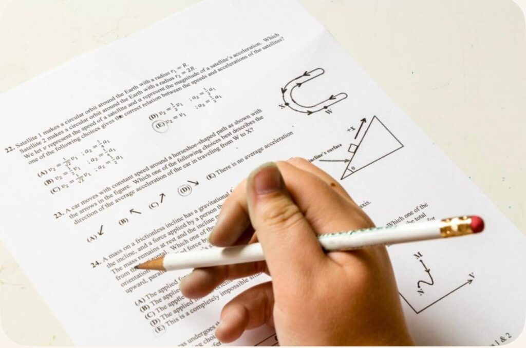 WhatsApp Image 2025-10-02 at 19.53.23-3